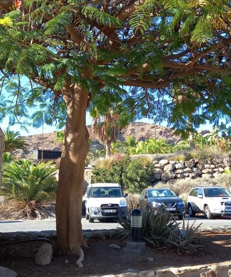 Duplex Anfi Topaz Mogán Vila