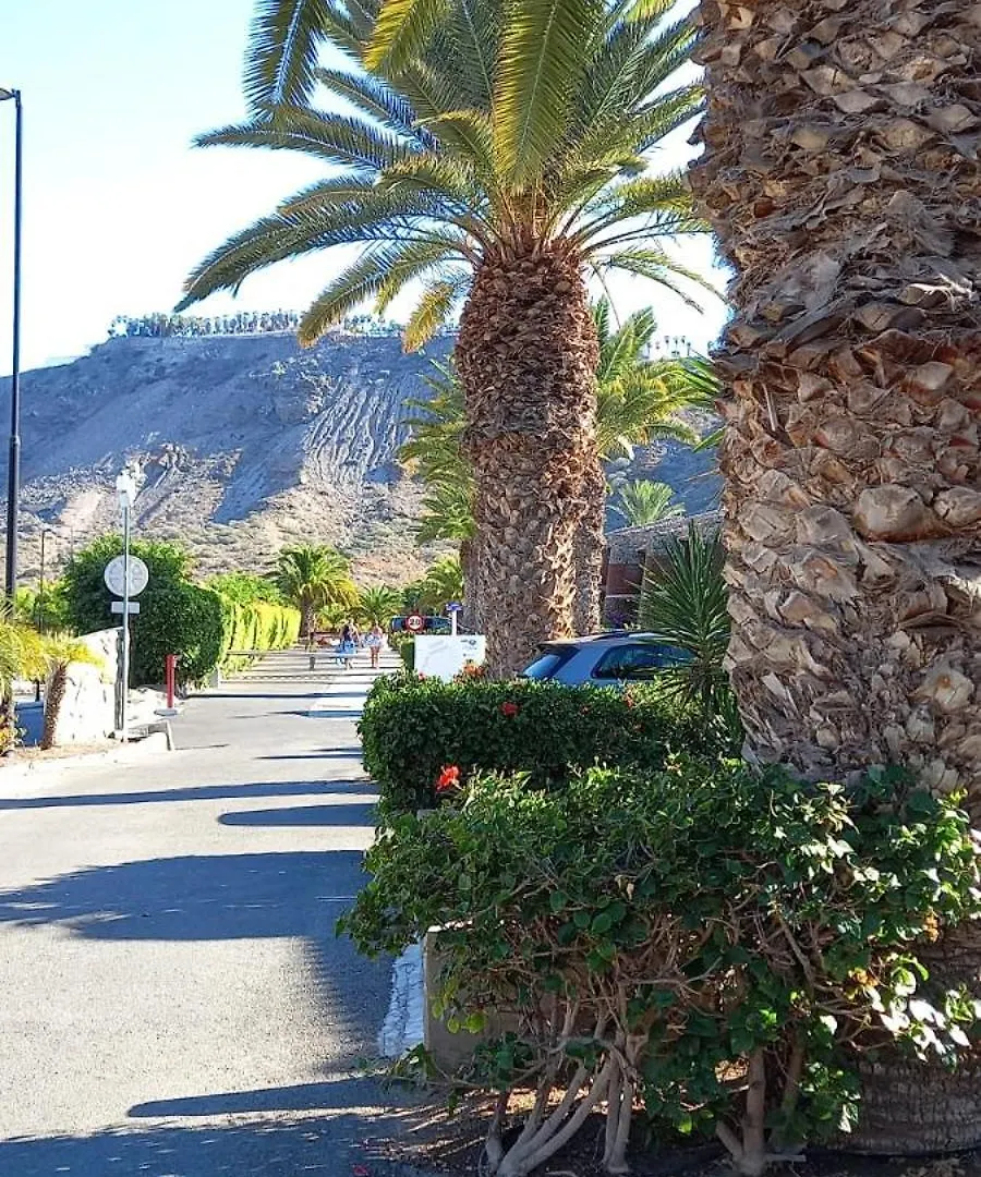 Duplex Anfi Topaz Mogan 0*,  Spain